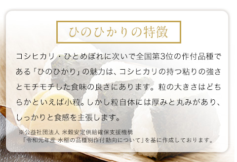 令和3年産 ひのひかり 無洗米 12kg 6kg×2袋 熊本県産 白米 精米米《3-7営業日以内に出荷予定(土日祝除く)》---ng_hn3_u_22_10000_m12kg---st-p