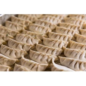 津山黒豚手作り冷凍生餃子(60個セット)【配送不可地域：離島】【1339814】