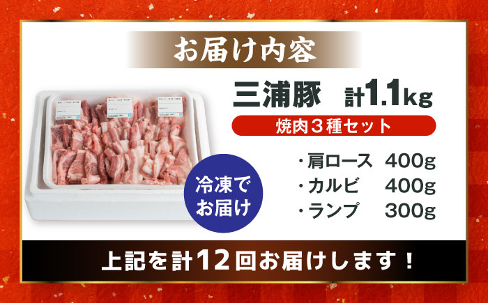 【12回定期便】 豪華 三浦豚 1.1kg 焼肉セット 肩ロース カルビ ランプ / ブランド豚 国産 ポーク 大容量 恵那市 / あづま精肉店 [AUDL020]