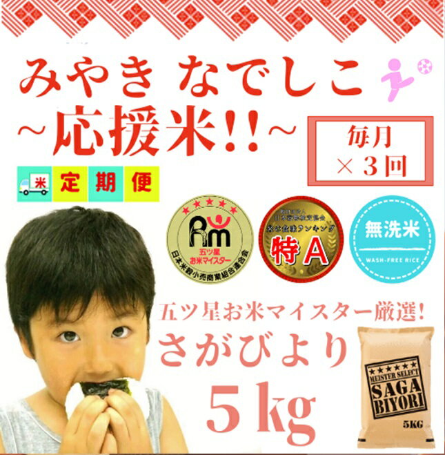【ふるさと納税】【みやきなでしこ】応援米【3回定期便】【無洗米】さがびより5kg（CIC86）