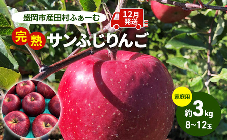 りんご 先行予約 家庭用 完熟 サンふじ 約 3kg (8～12玉) 田村ふぁーむ フルーツ 果物 冬 旬 旬のフルーツ 規格外 傷 不揃い 先行 予約 盛岡市産 林檎 リンゴ 岩手 岩手県 盛岡 盛岡市 12月発送　お届け：2025年12月1日～2025年12月25日
