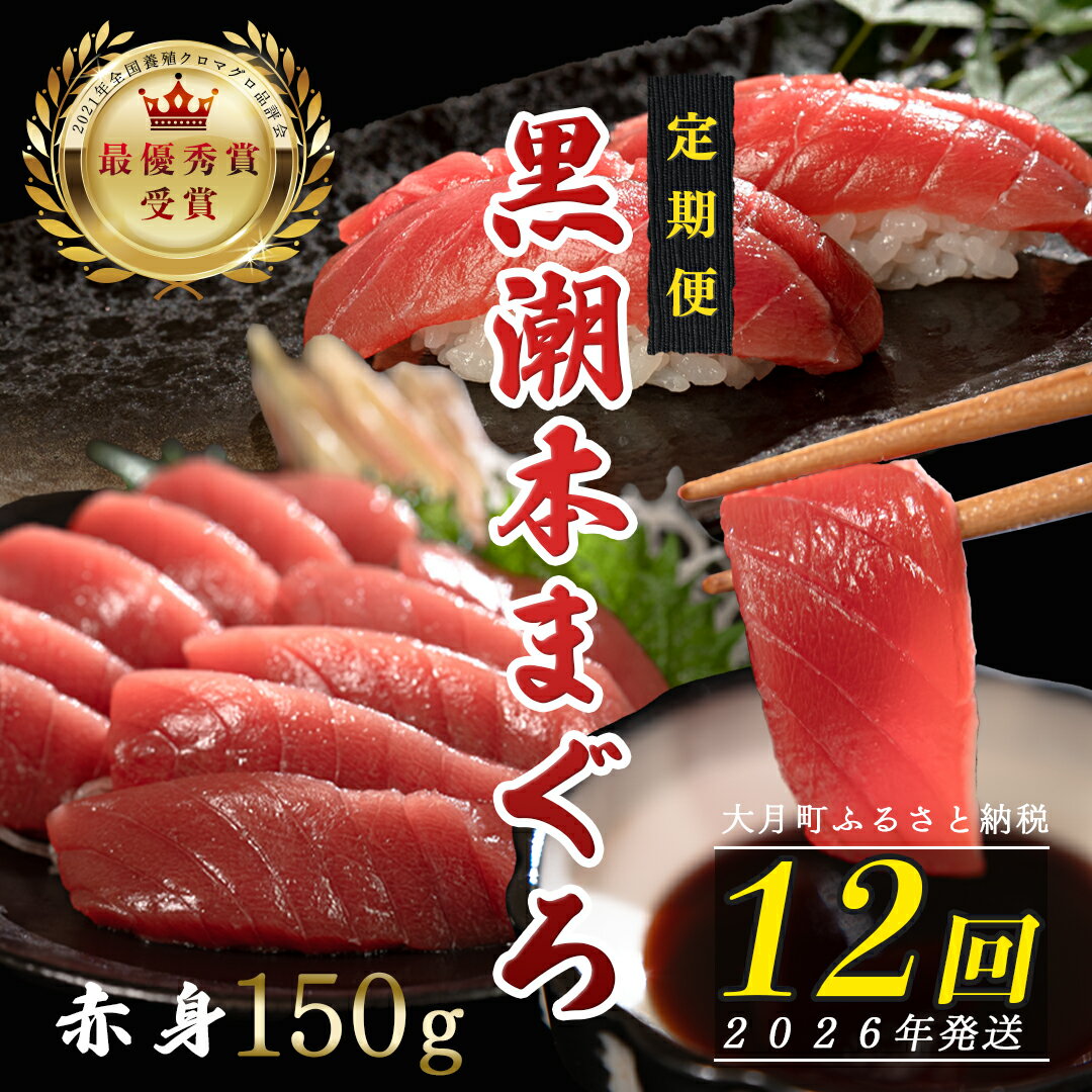 【ふるさと納税】【定期便 12回】日本一!黒潮本まぐろ 赤身