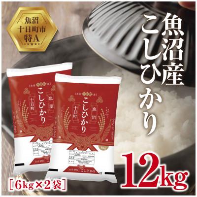 ふるさと納税 十日町市 新潟県 魚沼産 こしひかり 6kg×2袋 計12kg 精米 (お米の美味しい炊き方ガイド付)