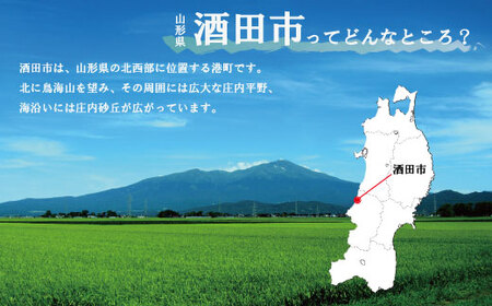 SE0426　純米大吟醸セット【楯野川 純米大吟醸合流、上喜元 純米大吟醸山田錦50】計2本(各1800ml×1本)