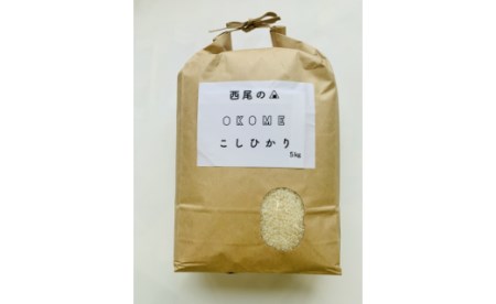 【令和7年産】西尾産翔米（こしひかり）5㎏・K213-18