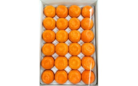 みかん 【6月～順次発送】ハウスみかん 2.5kg【uot735A】