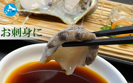 海洋牧場育ち養殖活蝦夷あわび（7㎝～7.4㎝×12個）　活アワビ　鮑　海鮮　産地直送　魚介類　海の幸　おせち　エゾアワビ　冷蔵　アワビ　BBQ　バーベキュー　蝦夷鮑
