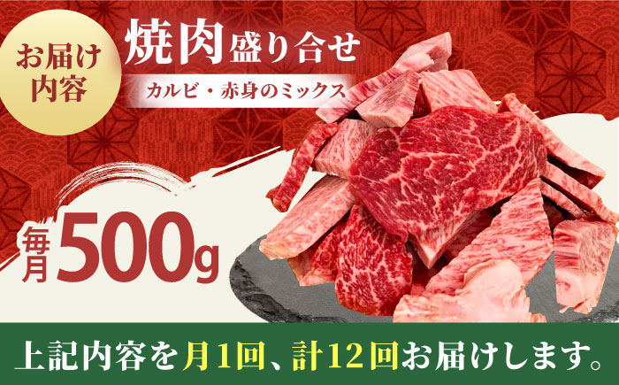 【全12回定期便】佐賀牛 焼肉 切り落とし 500g 【田中畜産牛肉店】 佐賀牛 牛肉 精肉 肉 切り落とし [HBH156]
