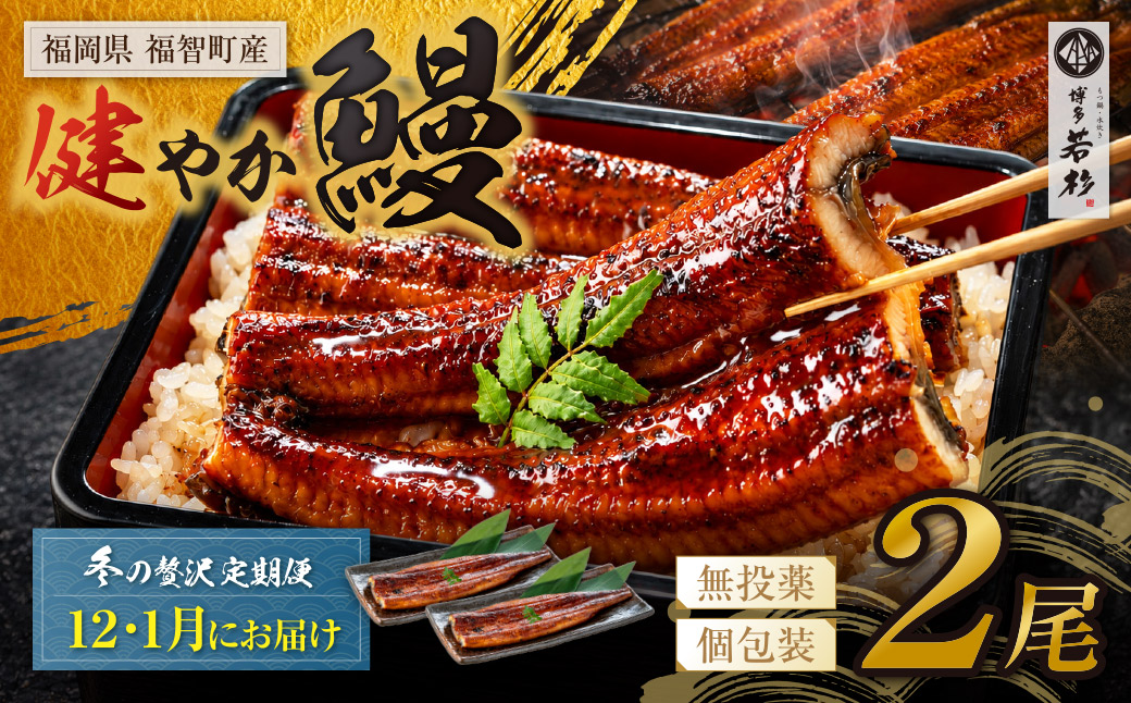 健やか鰻 国産うなぎ蒲焼(無頭)2尾(計310g以上) 定期便(冬発送・12月〜1月・全2回)