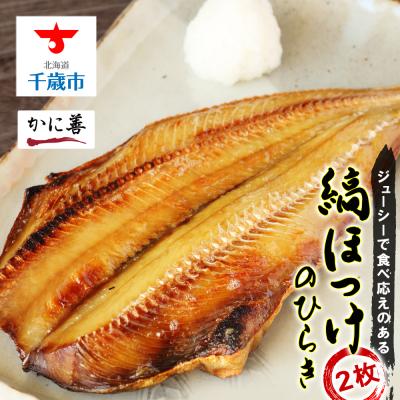 ふるさと納税 千歳市 縞ほっけの開き2枚＜かに善＞