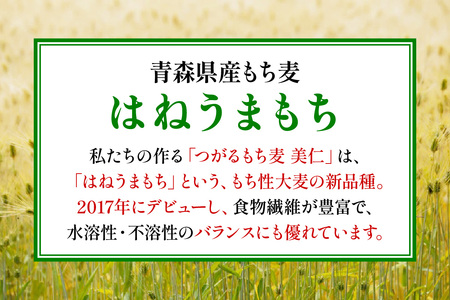 [青森県産もち麦・特別栽培] (農薬・化学肥料不使用) つがるもち麦 美仁 5kg《定期便/全3回/毎月お届け》 [0346]