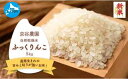 【ふるさと納税】北海道上ノ国町産 令和6年産新米！自然乾燥米「ふっくりんこ」　5kg　北海道米　産地直送　有機肥料を使用　自然乾燥のお米　しっとり食感　ふっくら食感　こめ　コメ　精米　ごはん　お米