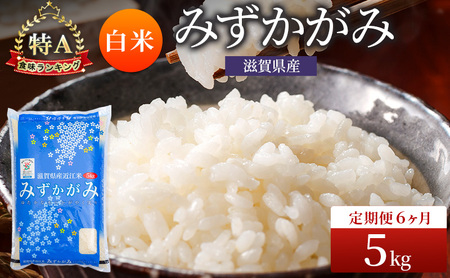 お米 みずかがみ 5kg 精米 定期6回 お米