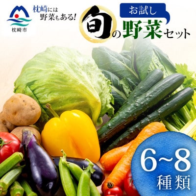 枕崎には野菜もある!!定番・旬のお試し野菜セット　A0-38【配送不可地域：離島】【1535821】