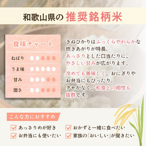 和歌山県産キヌヒカリ 5kg（2024年産）［SL27］【sml101B】