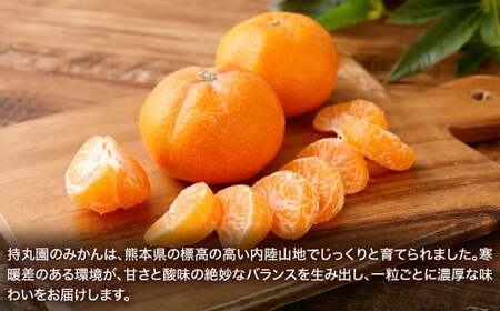 熊本県産 持丸ミカン 約3キロ 【2026年11月下旬発送開始】 蜜柑 みかん ミカン 柑橘 フルーツ くだもの 果物 国産