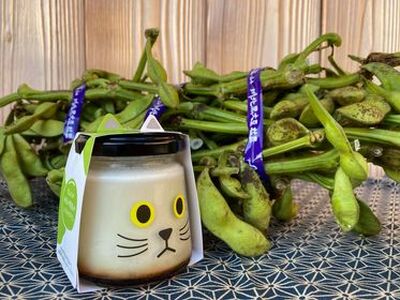【農家のご当地プリン！】丹波篠山黒豆プリン みどりちゃん（黒枝豆プリン）6個川北黒大豆 兵庫県 丹波篠山市産 黒豆 お菓子 スイーツ デザート [BT21]