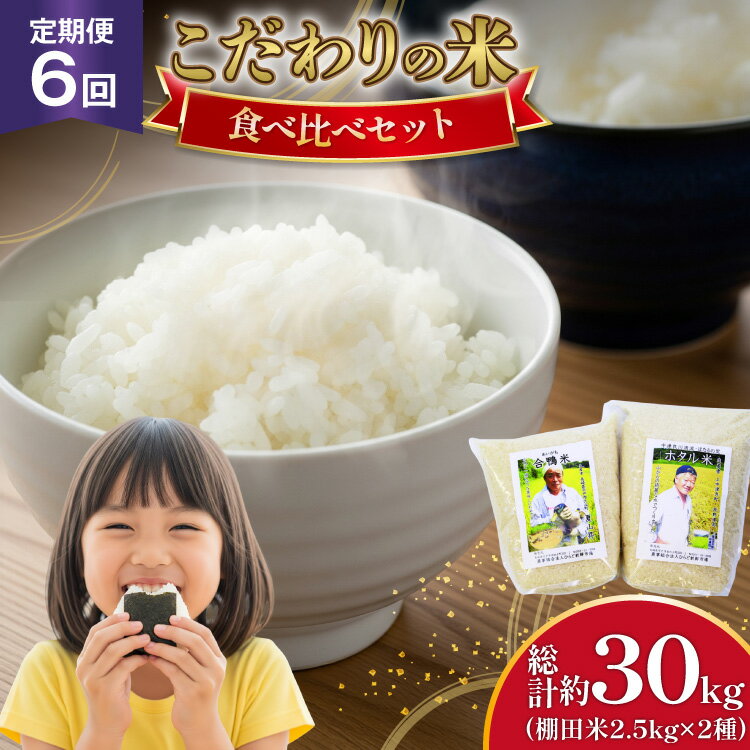 【ふるさと納税】米 令和7年産 棚田米 2.5kg 2袋 5kg 6回 定期便 総計 30kg [ひらど新鮮市場 長崎県 平戸市 hr42bgy400028] コメ こめ お米 ごはん 新米 白米 精米 国産 5キロ 30キロ 小分け こしひかり ひのひかり ゆめつくし にこまる なつほのか 定期 6ヶ月