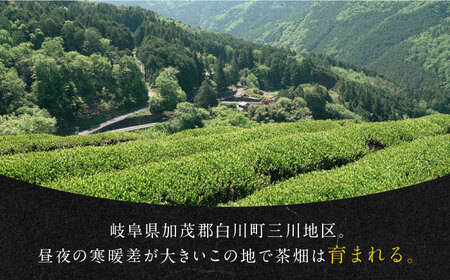 発酵和茶 Trinitea 3点セット 化粧箱入り （一番茶ティーバッグ缶、二番茶ティーバッグ缶、二番茶茶葉缶） 和紅茶 紅茶 ティーバッグ セット ギフト 白川町 / ヨリスグリ[AWBV001]