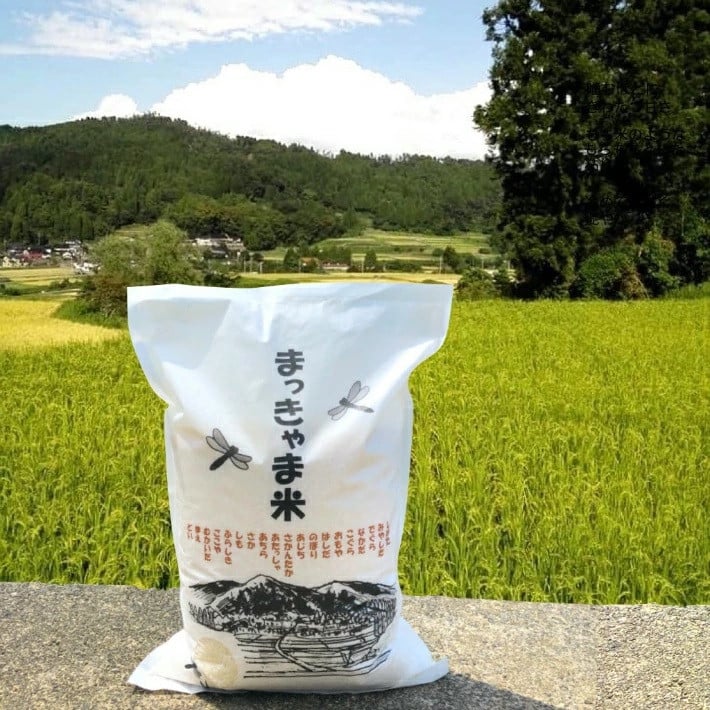 
            【特別栽培米】石川県産こしひかり棚田米【白米】 5kg
          