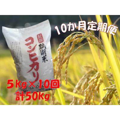 ふるさと納税 阿賀野市 【令和7年産】【10ヶ月定期便】新潟産コシヒカリ瓢湖米　5kg×10回