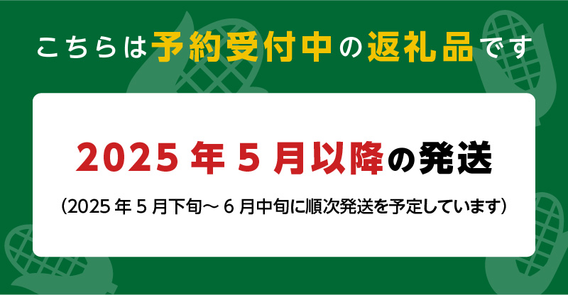 【先行予約】しあわせコーン(バイカラー種)8本入