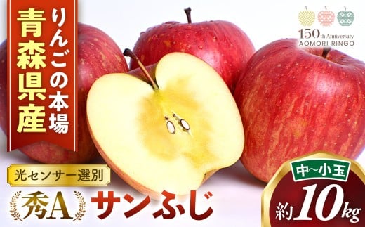 青森県産りんご 光センサー選別サンふじ 秀Ａ品 約10kg（中～小玉 32~40玉）　りんご 国産 フルーツ 果物 林檎 リンゴ サンふじ 中玉 小玉 新鮮 青森県 三戸町 AS-25-012