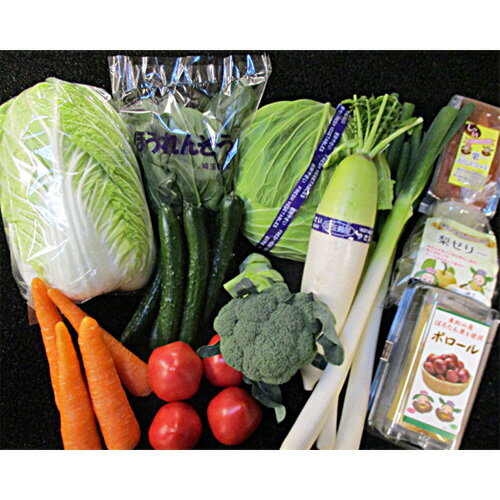 【ふるさと納税】東松山市産季節の野菜&市内産加工品詰合せセット | 野菜 野菜セット 季節 旬 新鮮野菜 かぶ レタス キャベツ のらぼう菜 トマト オクラ 玉ねぎ ニンニク きゅうり ナス ニンジン ネギ ズッキーニ インゲン 梨ゼリー パウンドケーキ せんべい 埼玉県 東松山市