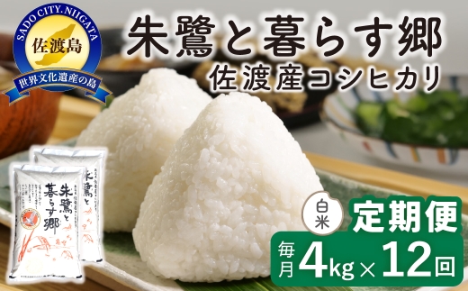 【定期便 令和8年産新米 12か月】 佐渡島産コシヒカリ 白米 4Kg(2kg×2袋） 令和8年産新米 特別栽培米 | 新潟県産コシヒカリ 新潟産コシヒカリ 佐渡産コシヒカリ 新潟県産こしひかり 佐渡産こしひかり お米 米 こしひかり 白米 精米 おこめ コメ 4キロ にいがた さど 新潟県 佐渡市