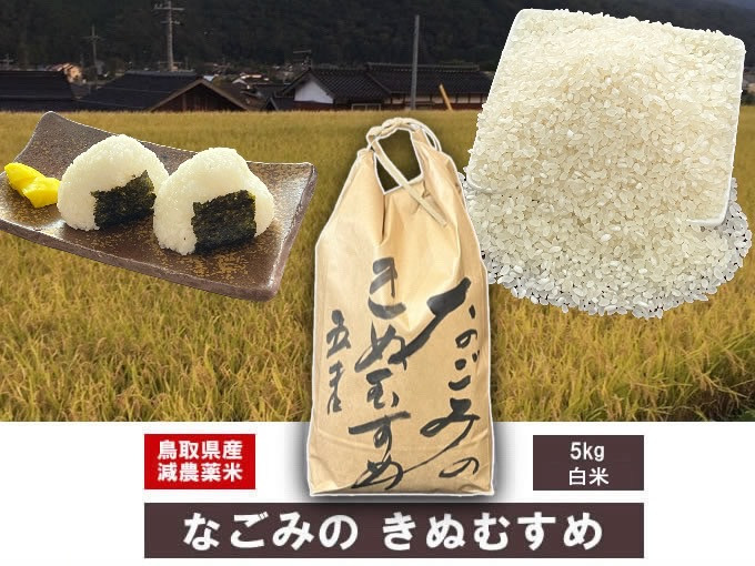 
            令和6年産米 なごみのきぬむすめ（5kg） 新米 お米 米 こめ コメ 白米 ブランド おいしい 健康 産地直送 米5キロ きぬむすめ 倉吉
          