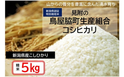 新潟 特別栽培米 令和5年産 コシヒカリ 「鳥屋脇町生産組合コシヒカリ」 精米 5kg 送料無料 県認証米 おいしい 白米 安心安全