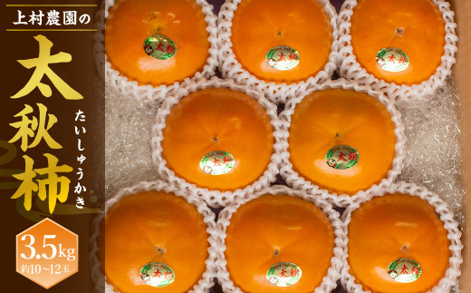 上村農園の 太秋柿 3.5kg (約10〜12玉) 【2026年10月下旬～11月下旬まで順次発送予定】
