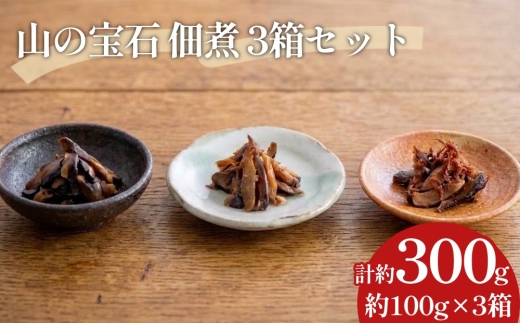 FHS15 山の宝石 佃煮 3箱セット 各約100g 計約300g