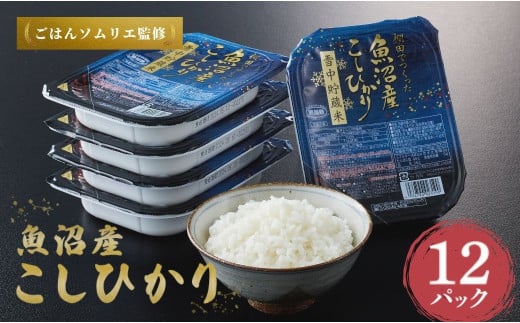 魚沼産コシヒカリ 雪中貯蔵米パックご飯 12個セット ごはんソムリエ監修 パック ご飯 ごはん レトルト 越後小千谷たかの 【0002-0195-01】