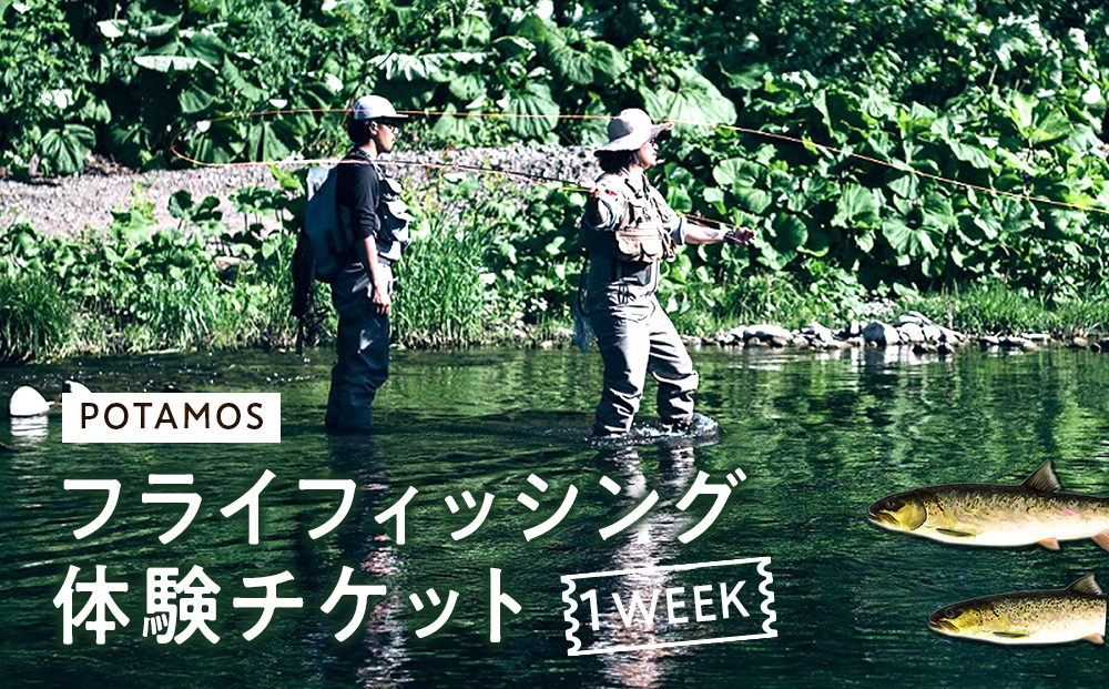 1WEEK フライフィッシングガイドチケット