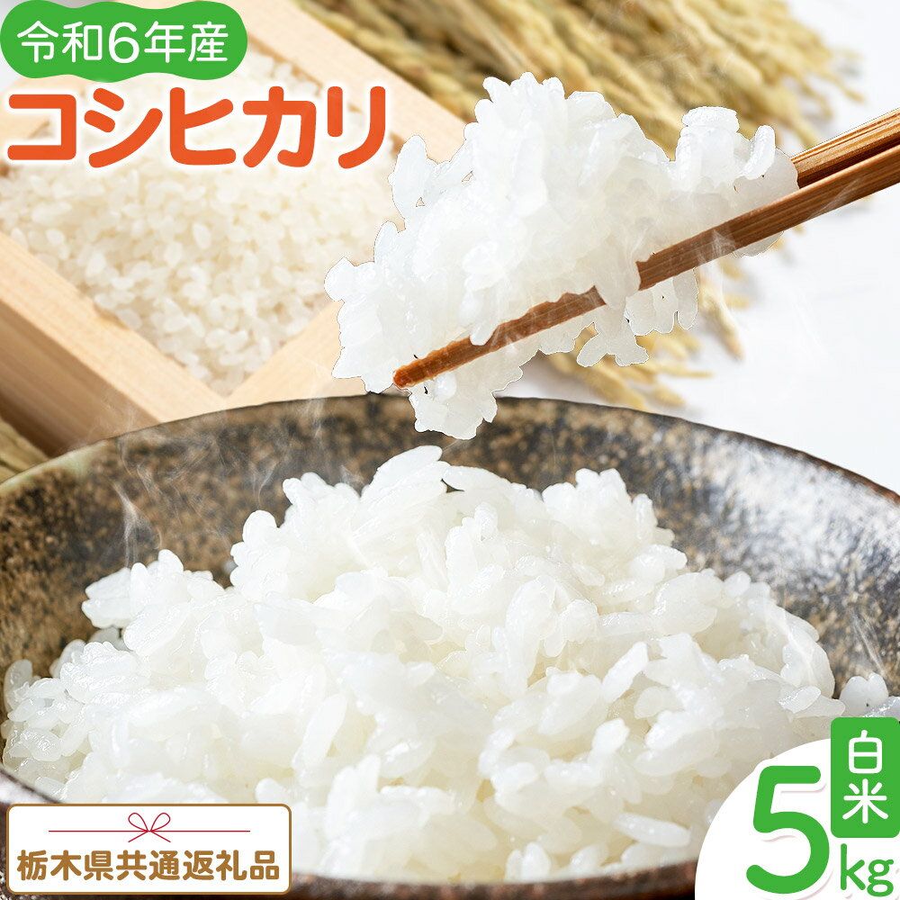 【ふるさと納税】令和6年産 米 お米 コシヒカリ 5kg 江戸屋農産株式会社《30日以内に出荷予定(土日祝除く)》 栃木県産 コメ 米 こしひかり コシヒカリ5kg 5キロ【栃木県共通返礼品】