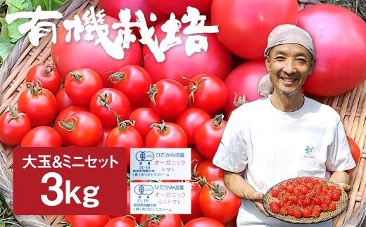 【令和8年産 26年先行予約】トマトとミニトマトのセット 有機JAS認定 1kg 2kg 3kg とまと 大玉 甘い 特産 国産 野菜 ミニトマト 旬 有機野菜 ありがとうファーム 送料無料《hida0307》