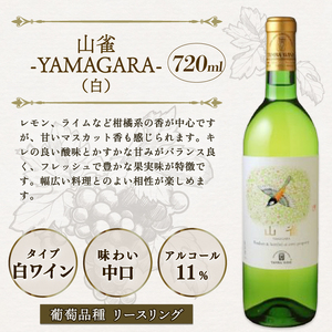 白ワイン飲み比べ 4本セット（国産ワイン 国内醸造 日本ワイン 白ワインセット 中口 辛口 ギフト 贈答 贈り物 プレゼント 記念日 お祝い お酒 丹波ワイン 京都 京丹波町）
