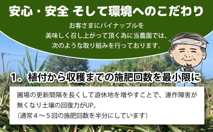 【2026年発送】ゴールドバレルビッグな２玉セット