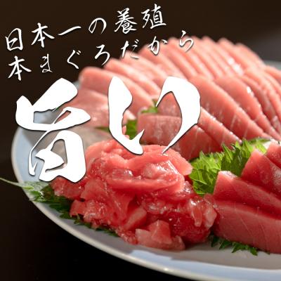 ふるさと納税 大月町 【高知県産 養殖本マグロ】4種 900g(大トロ・赤身150g 中トロ・ブツ切り300g) |  | 01