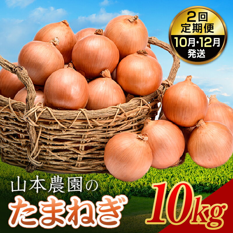 【ふるさと納税】北海道産 たまねぎ 「山本農園のたまねぎ」L〜L大サイズ前後 10kg 2回定期便(10月・12月発送) 南幌町産 玉ねぎ タマネギ 玉葱 NP1-307