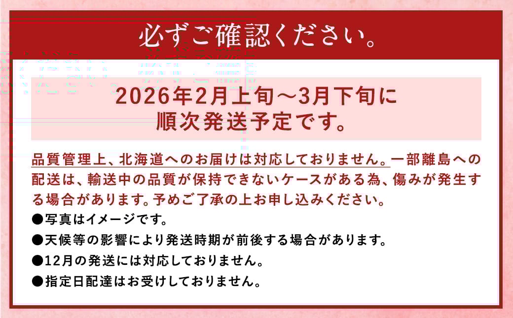 あまおう 等級DX 約560g 約280g×2パック