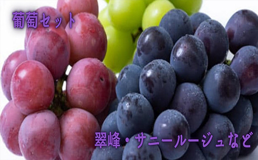 
            花巻堪能 葡萄セット（2種類以上） 【1022】
          
