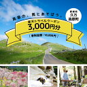 【ふるさと納税】愛媛県久万高原町の対象施設で使える楽天トラベルクーポン 寄付額10,000円