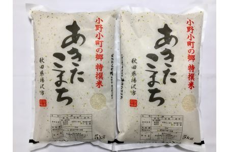 【令和7年産米】あきたこまち 特撰米 5kg×2 あきたこまち [C2203]