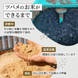 米 定期便 6ヶ月 ツバメの飛び交う 棚田米 5kg コシヒカリ 精米 白米 お米 魚沼産コシヒカリ 新潟米 新潟 魚沼市 定期 6回