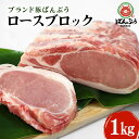 【ふるさと納税】ブランド豚「ばんぶぅ」ロースブロック1kg ばんぶぅ 豚肉 ロース ブロック肉 しゃぶしゃぶ 焼き肉 真空パック しゃぶしゃぶ肉 焼肉用 お鍋用 ブタ肉 国産 茨城県産 ギフト プレゼント 冷蔵 高級部位 ブランド豚 42－A