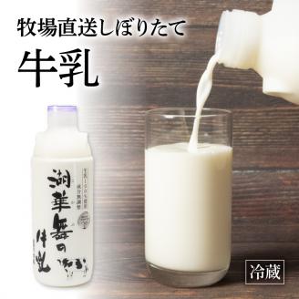 プリン2種 計6個 しぼりたて牛乳 900ml セット 湖華舞