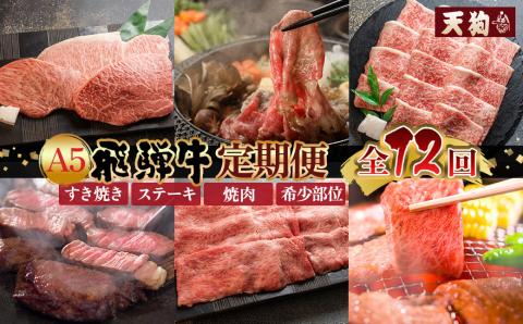 【定期便 12回】 A5 飛騨牛 天狗 牛肉 (ステーキ / 焼き肉 / すき焼き /希少部位 赤身 / 霜降り) 1年間 お楽しみ サーロイン カルビ イチボ ランプ もも 肩ロース肉 【11-O】