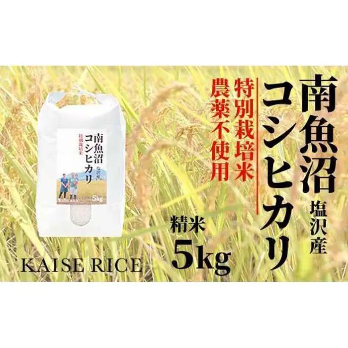 【令和7年】【定期便】南魚沼産塩沢コシヒカリ【従来品種】（農薬不使用）精米５ｋｇ×全３回｜コシヒカリ